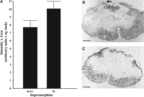 FIG. 5.