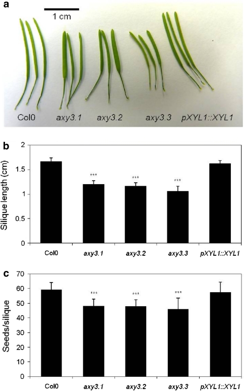 Fig. 4