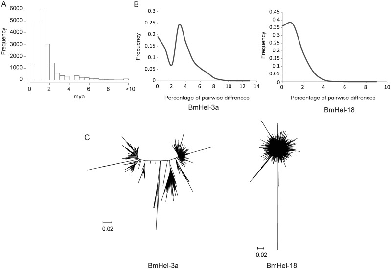 Figure 4.