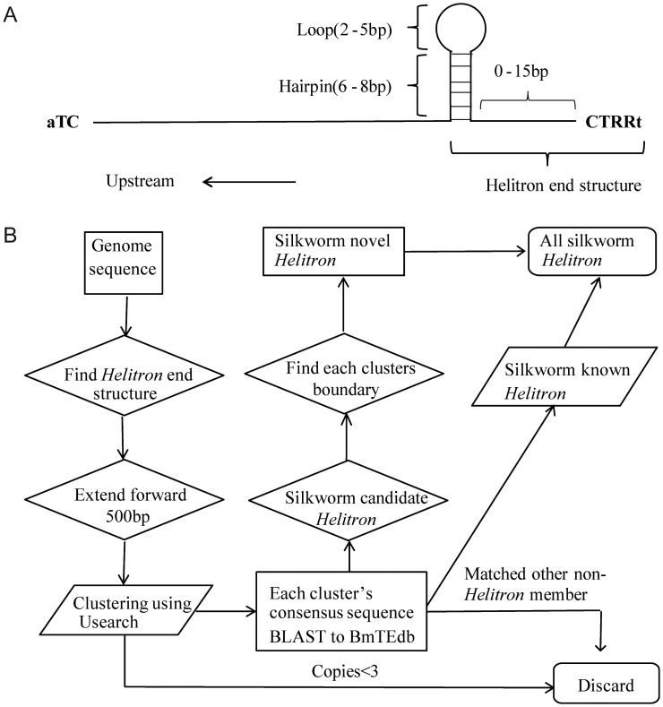 Figure 1.