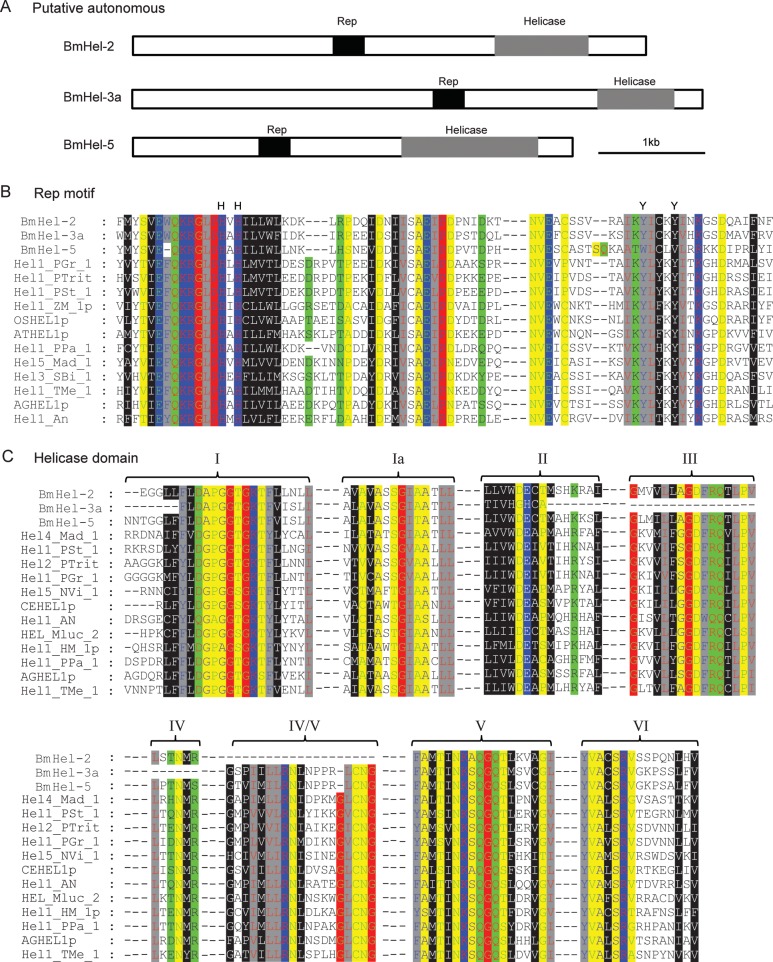 Figure 2.