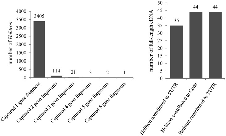 Figure 5.