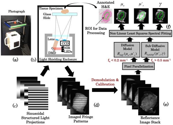 Fig. 2