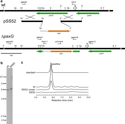 Fig. 3