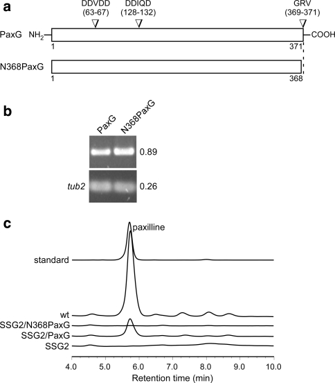 Fig. 5