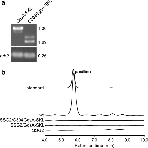 Fig. 8