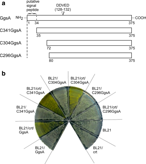 Fig. 7