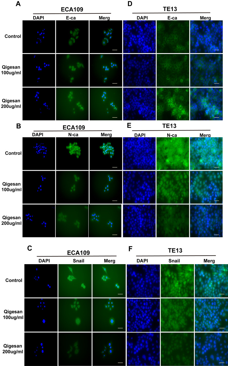 Figure 3A-F