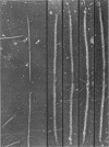 345