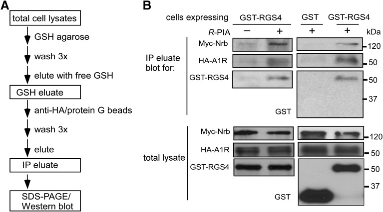 Fig. 4.