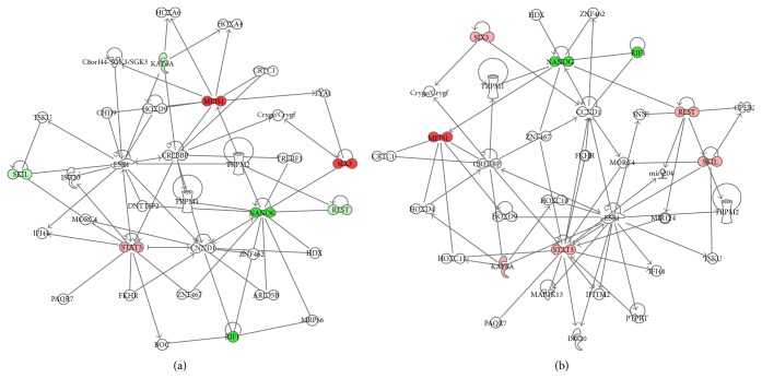 Figure 10