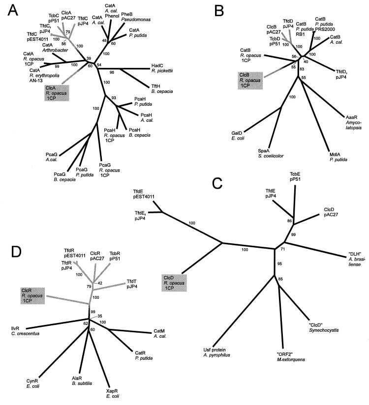 FIG. 8