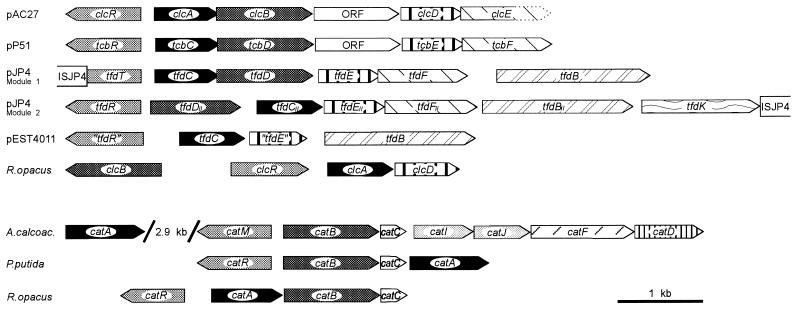 FIG. 9