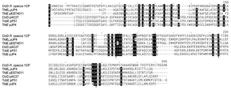 FIG. 7