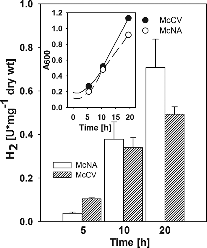 FIG. 3.