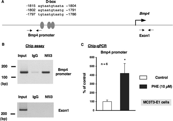 FIGURE 10.