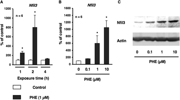 FIGURE 1.