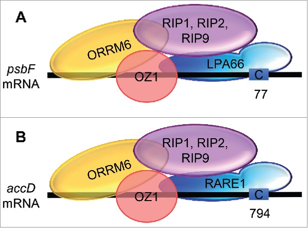 Figure 3.