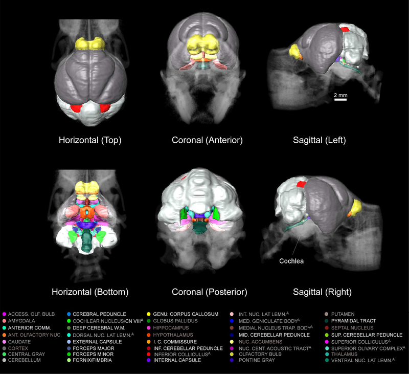 Figure 6.