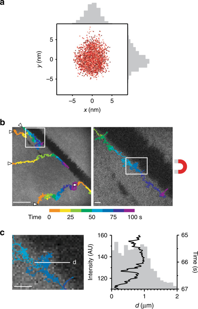 Fig. 2