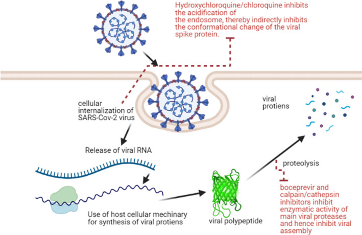 FIGURE 2