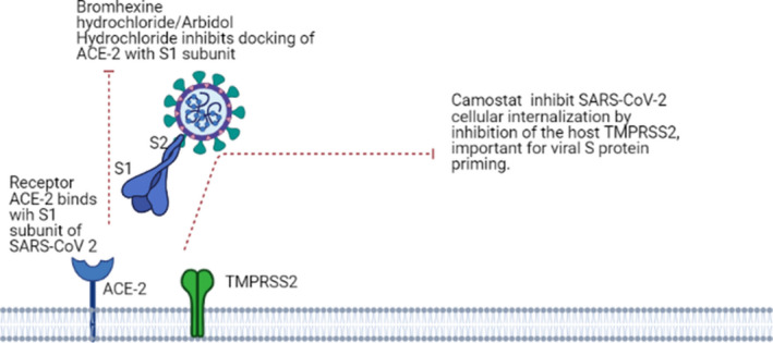 FIGURE 1