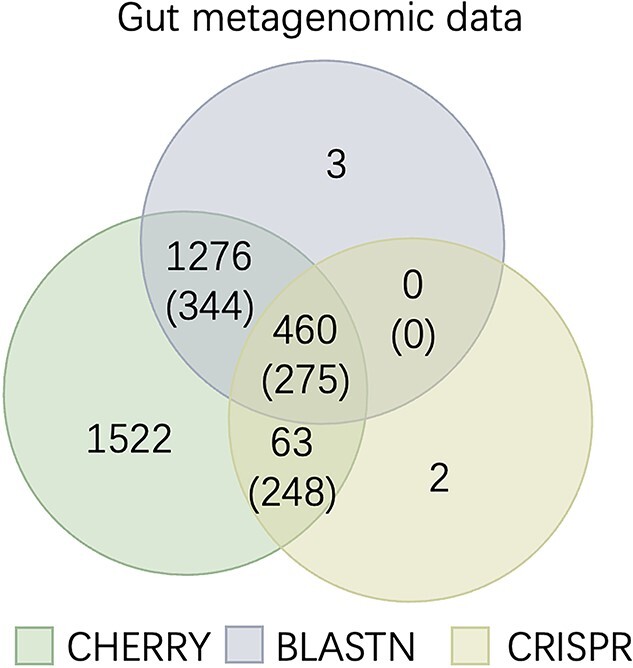 Figure 13