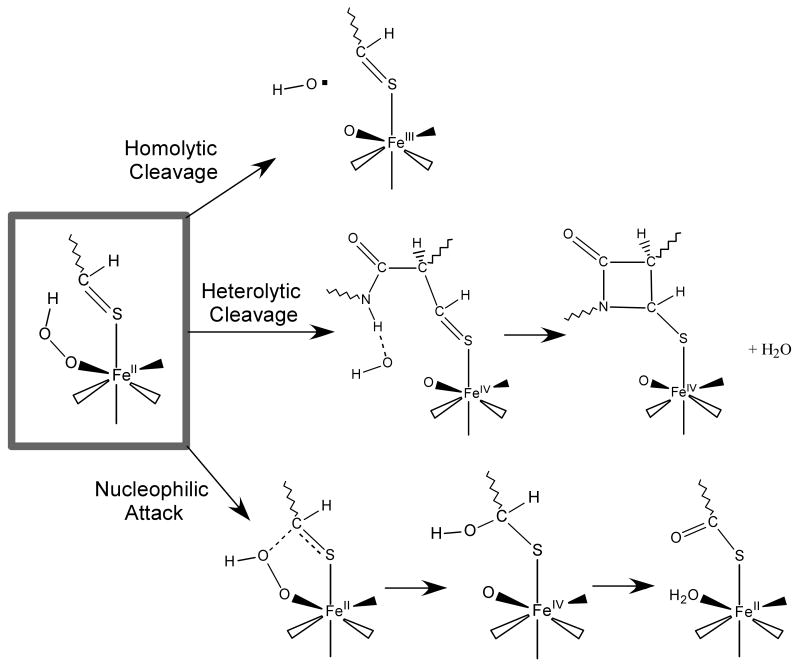 Scheme 2