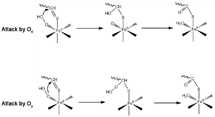 Scheme 4