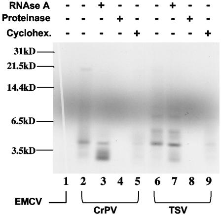 FIG. 8.