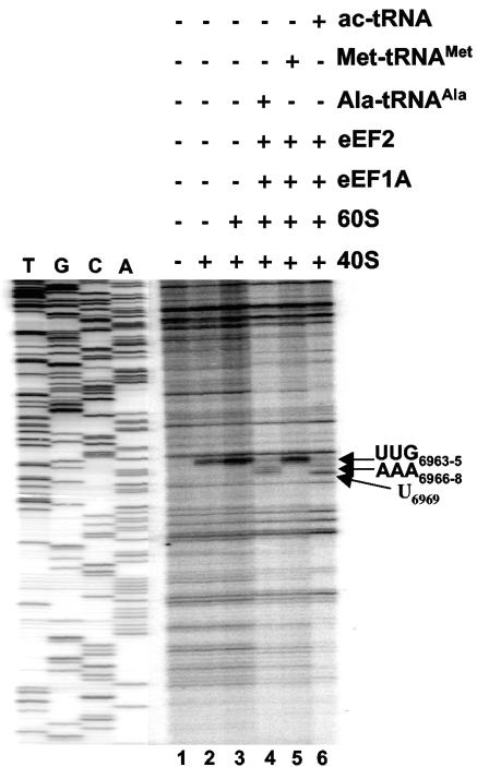 FIG. 7.