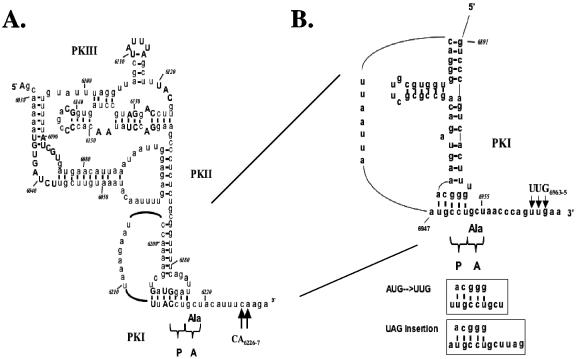 FIG. 1.