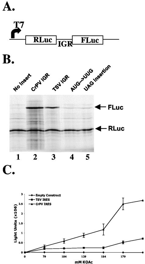 FIG. 2.