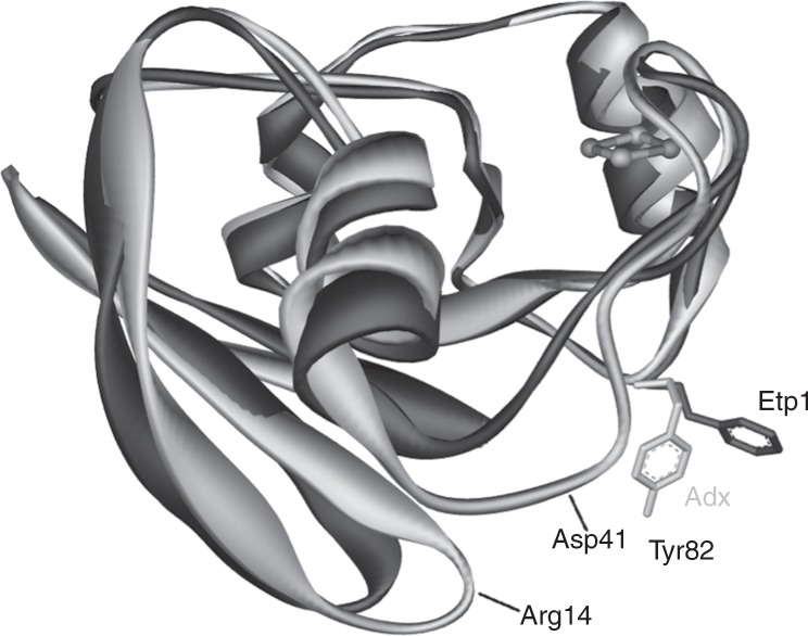 Fig. 5