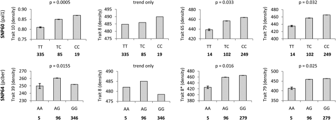 Figure 3.—