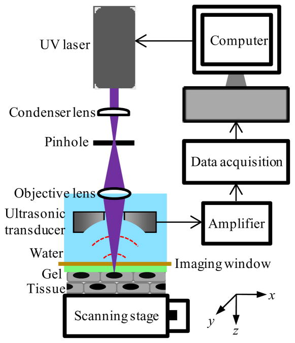 Fig. 1