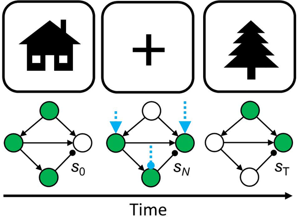 Figure 6: