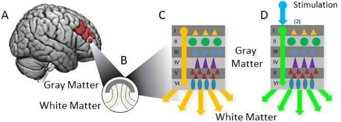 Figure 5: