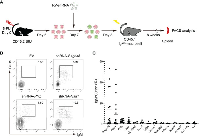 Figure 4