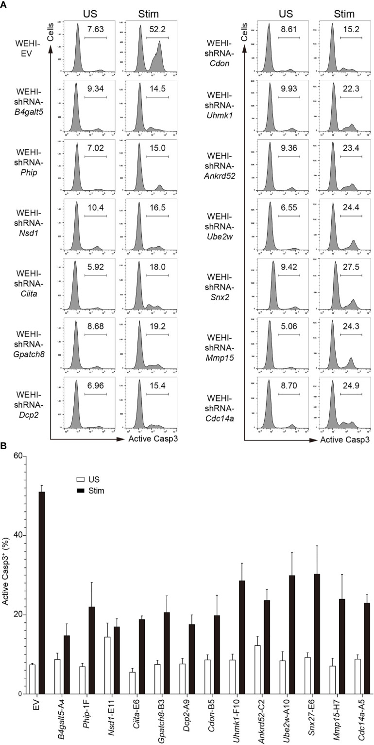 Figure 3