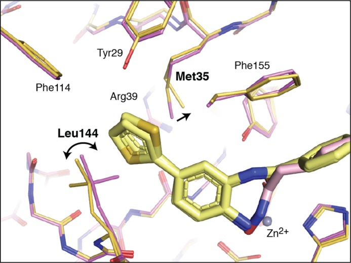 FIGURE 4.