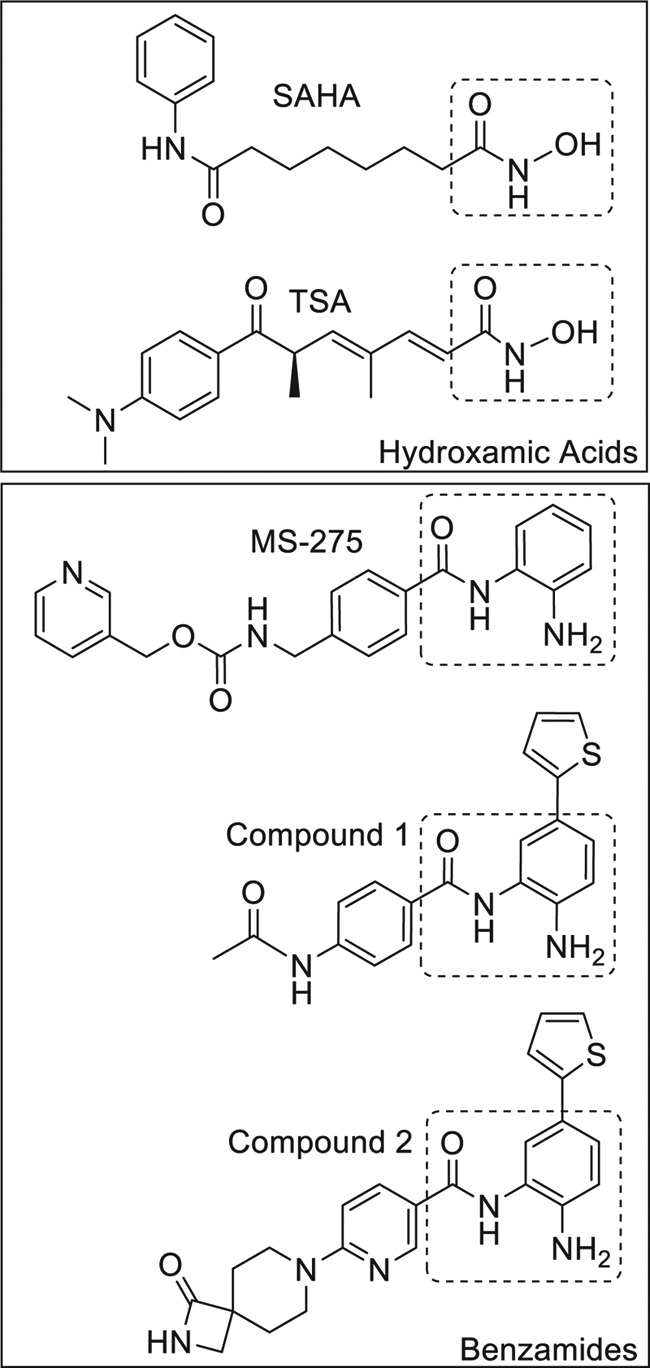 FIGURE 1.