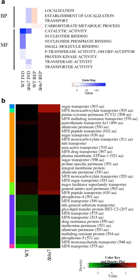 Fig. 7