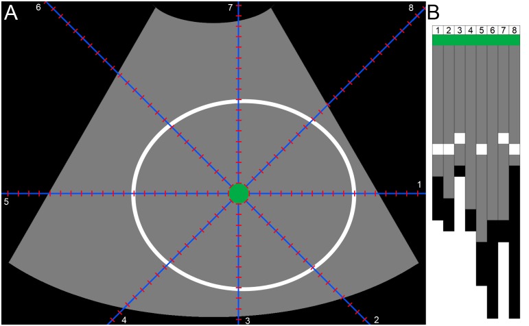 Fig 5