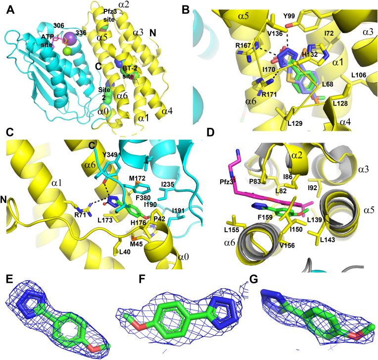 Figure 2