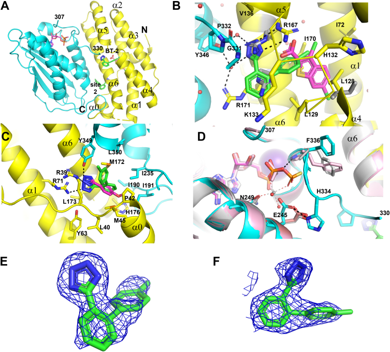 Figure 3