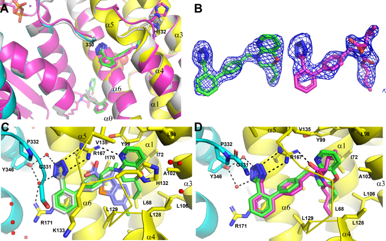 Figure 4