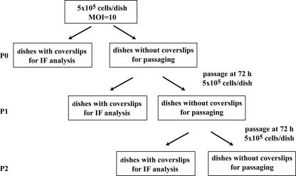 FIG. 1.