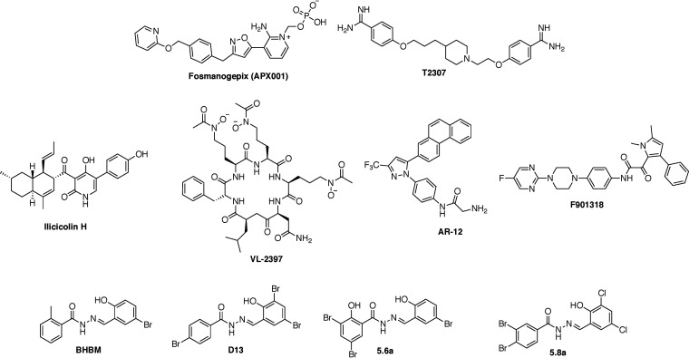 FIG 1