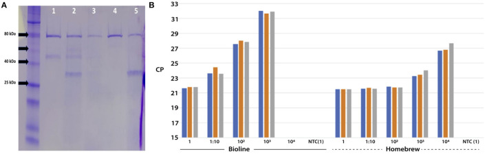 Figure 5